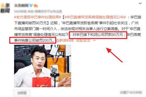 辛巴母亲爆料视频播放在线观看,揭秘辛巴家庭背后的故事